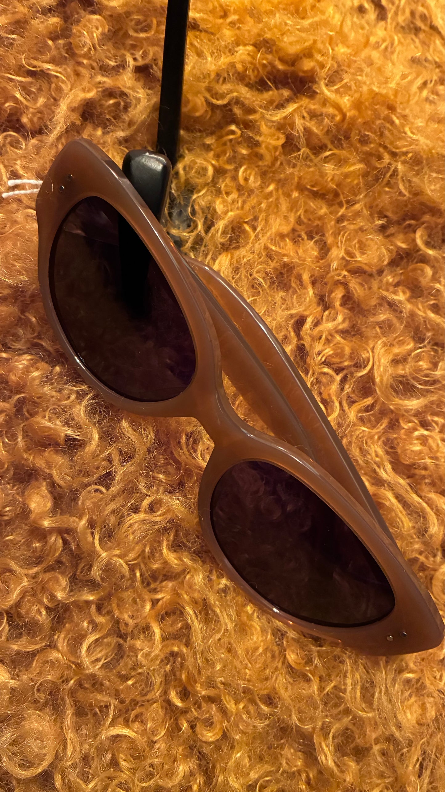 San Fran Sunglasses - Jelly Brown