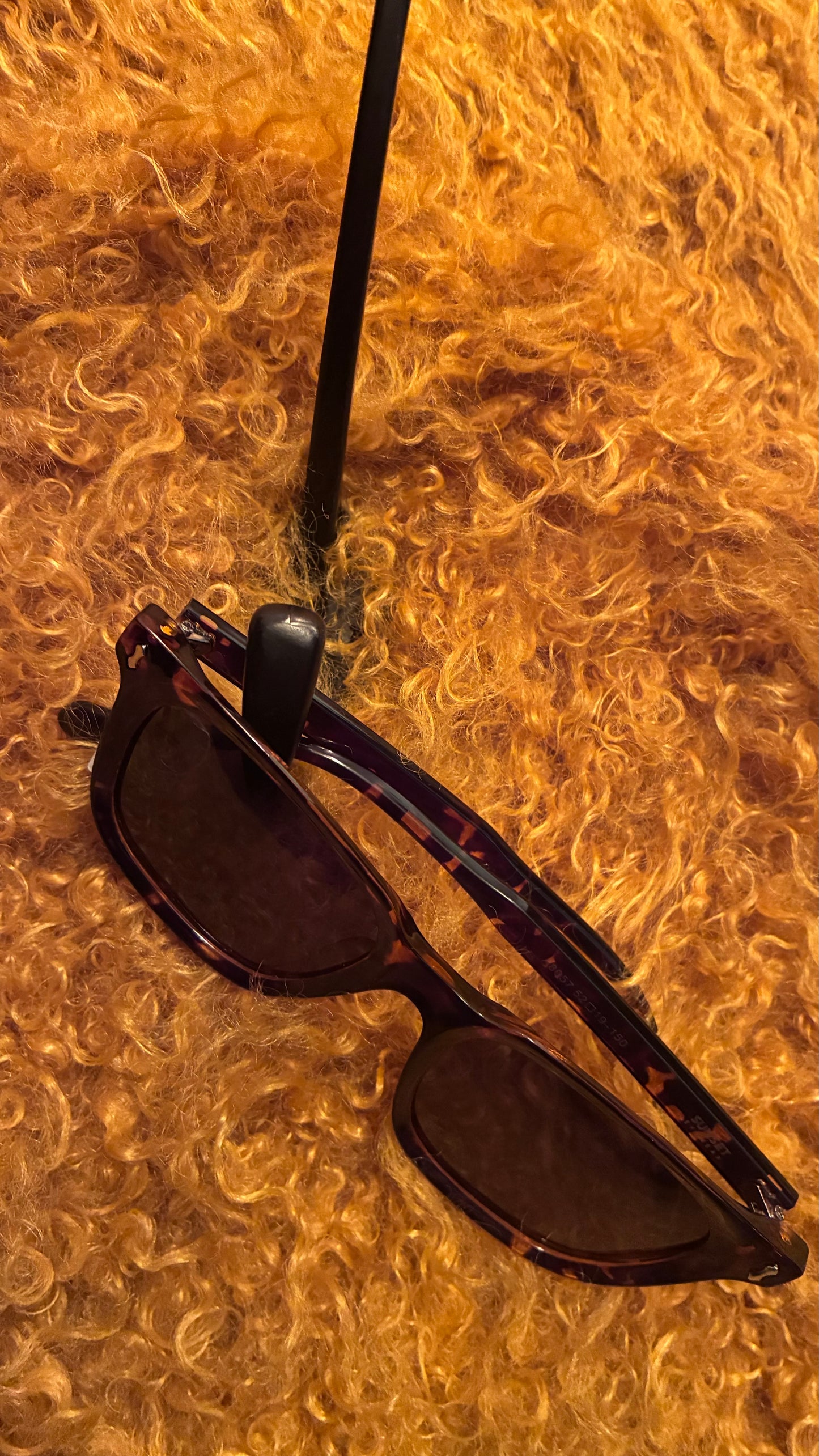 Malibu Sunglasses - Tortoise Shell