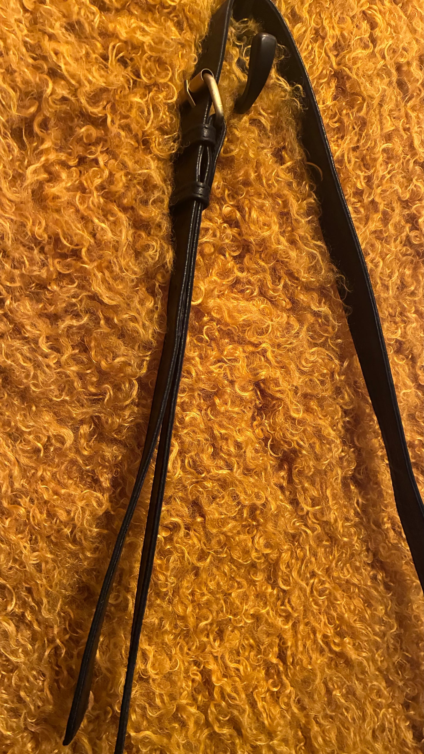 Kanika Bag - Black & Turquoise